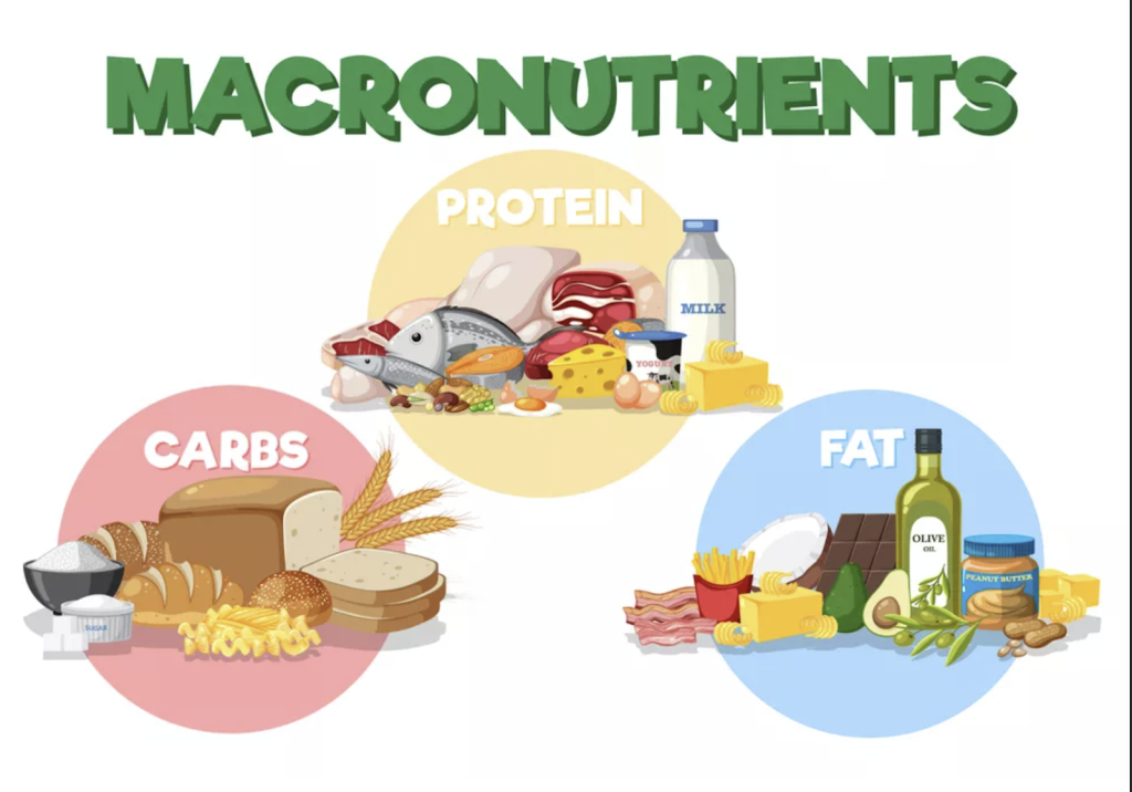 các nguông dinh dưỡng giúp xây dựng thực đơn Eat Clean 7 ngày cân bằng và giảm mỡ hiệu quả.